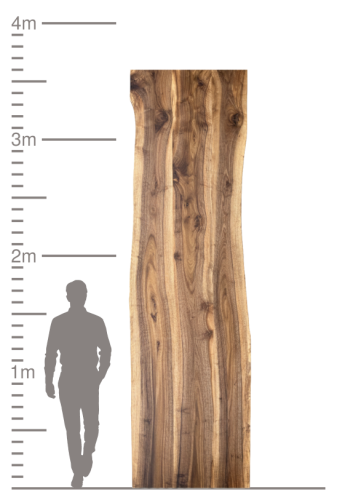Massivholzplatte aus Nussbaum neben einer Größenskala und Personensilhouette.