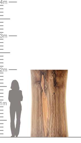Massivholzplatte Nussbaum 200x105 cm H. Hasler AG