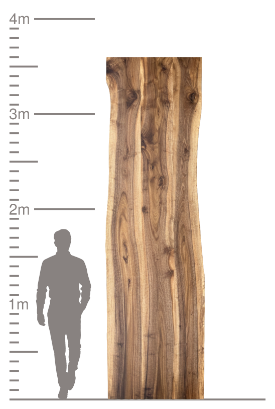 Massive Holzbohle mit Naturkante neben einer metrischen Skala.