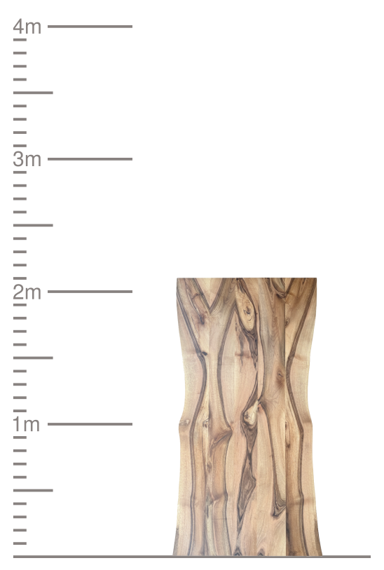 Holzdiele mit Naturkante neben einer 4-Meter-Messskala.