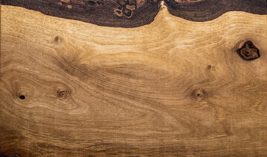Nussbaum Holz Hasler hermann Ag