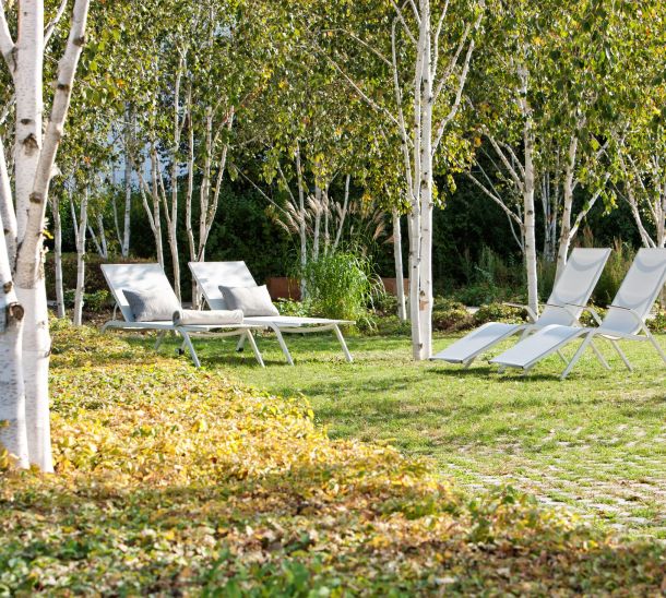 Birkenhain, Liegestühle, Garten, Entspannung, Außenbereich