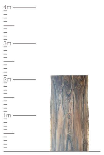 Massive Holzplatte mit Naturkante neben einer 4-Meter-Messskala.