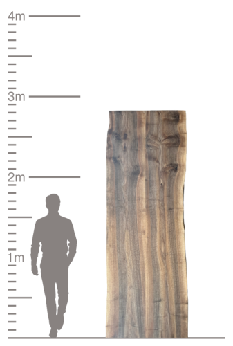 Massive Holzbohle mit Naturkante und Maßstab für Größenvergleich.